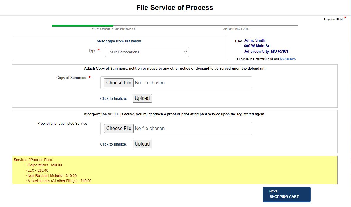 File service of process screen