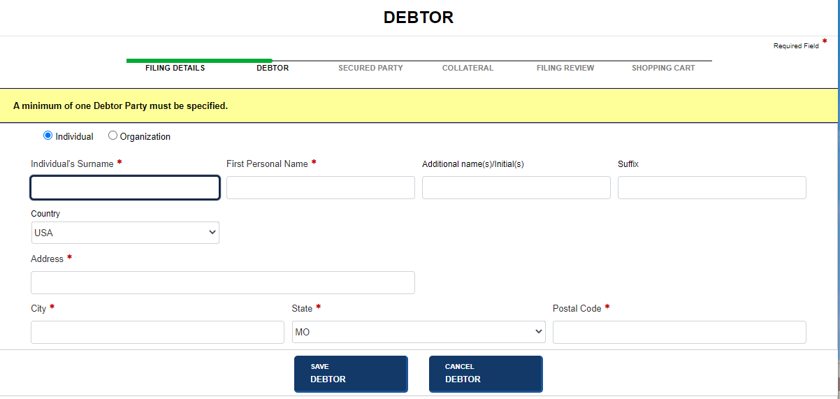 Debtor screen